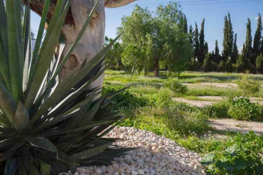 Villa Fina Murcia Exteriör bild